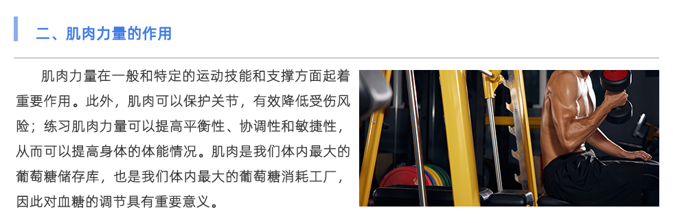 體能測試儀